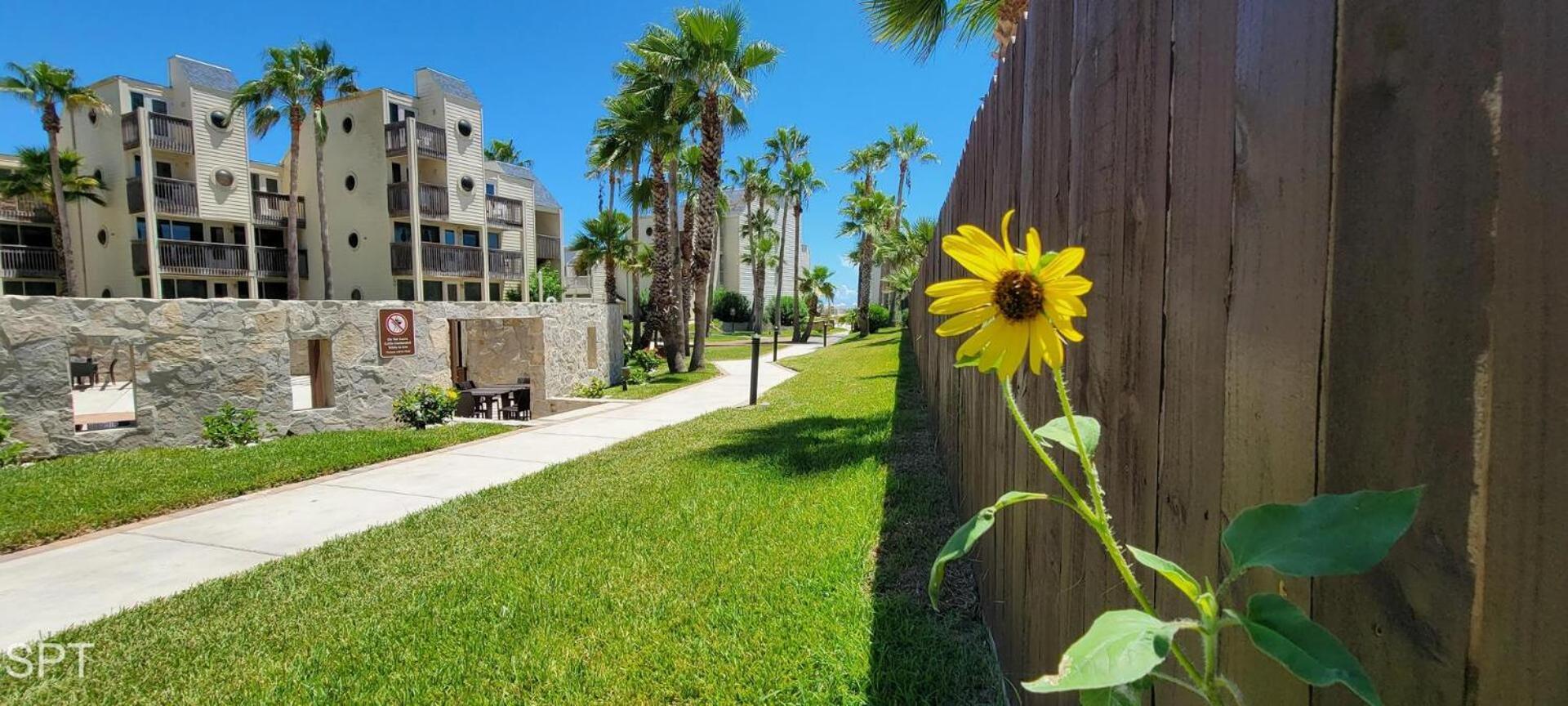 فيلا Bahia Mar #426 جنوب جزيرة بادري المظهر الخارجي الصورة